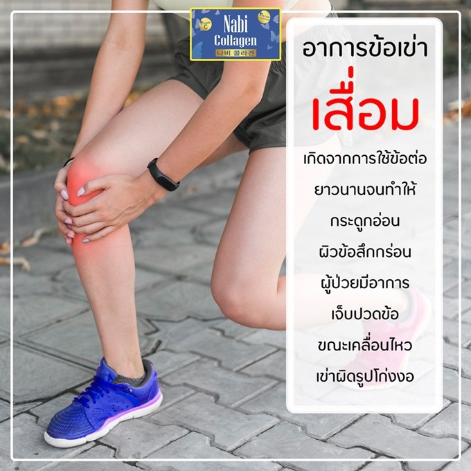 Nabi Collagen ข้อเข่าเสื่อม